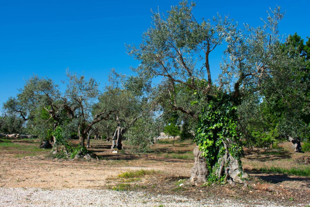 Villa Casale Dello Zio, Private Pool By Il Pumo Di Puglia Castellana Grotte Exterior foto